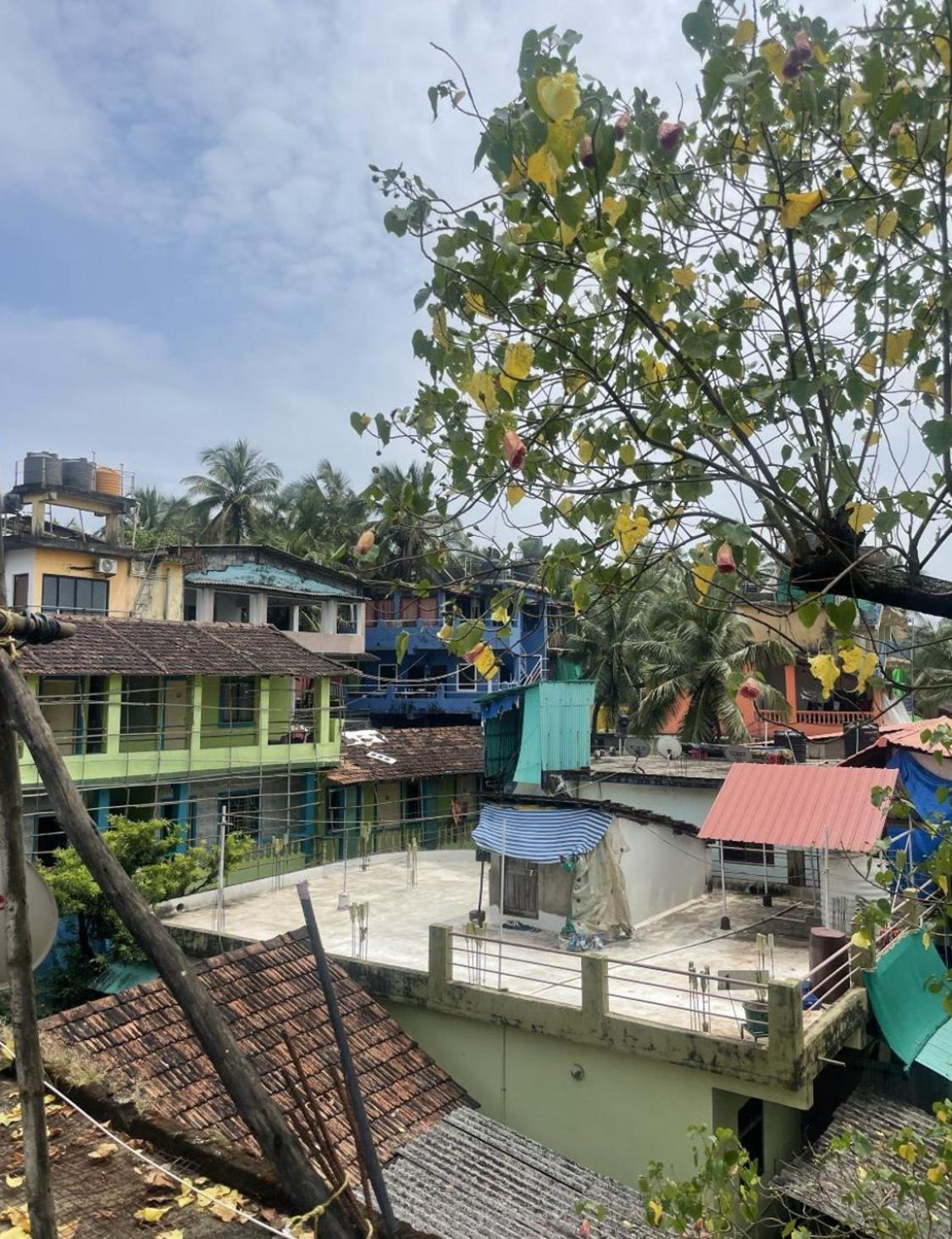 12 Monks - Beachside Hostel Arambol Ngoại thất bức ảnh