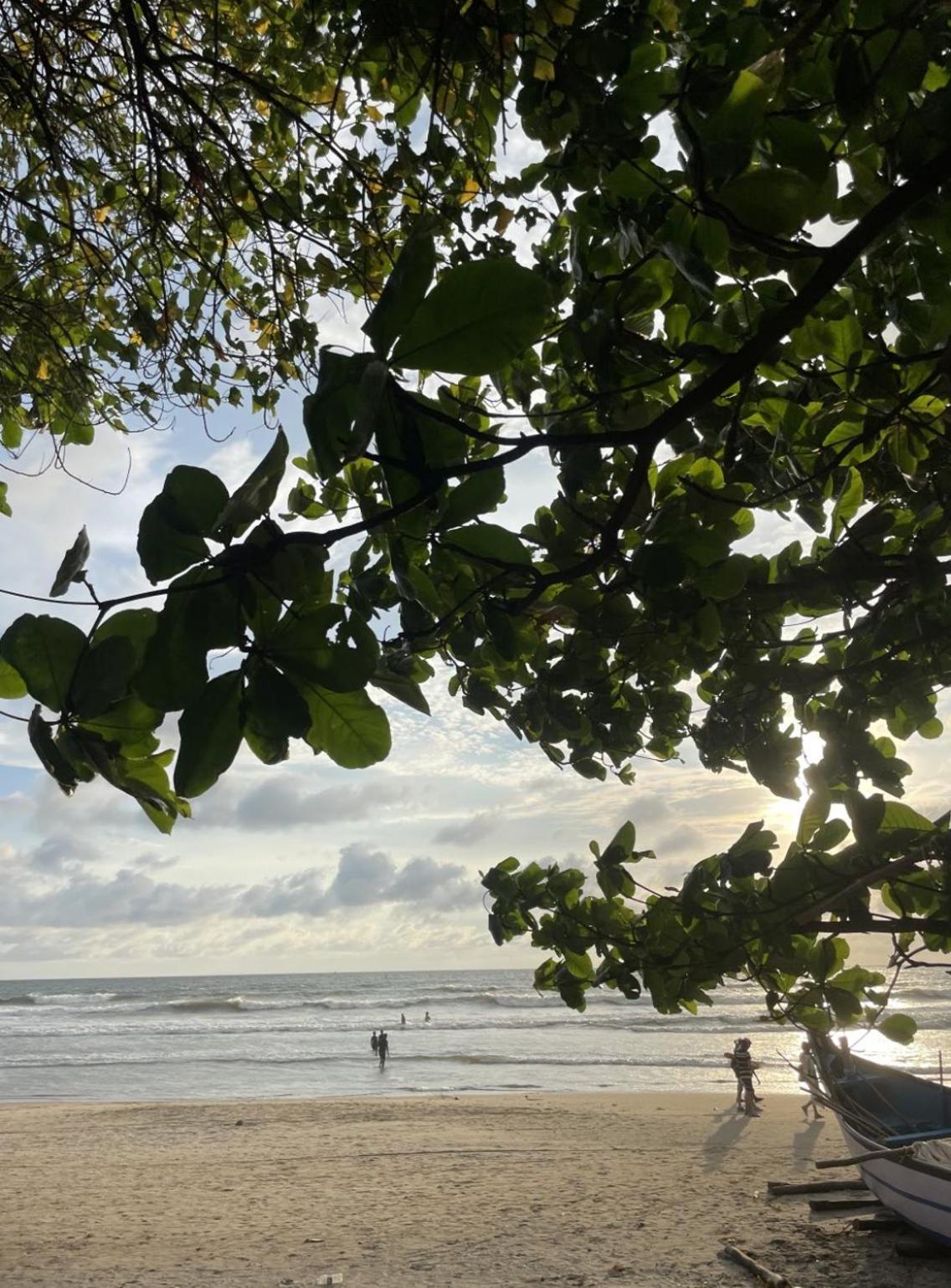 12 Monks - Beachside Hostel Arambol Ngoại thất bức ảnh