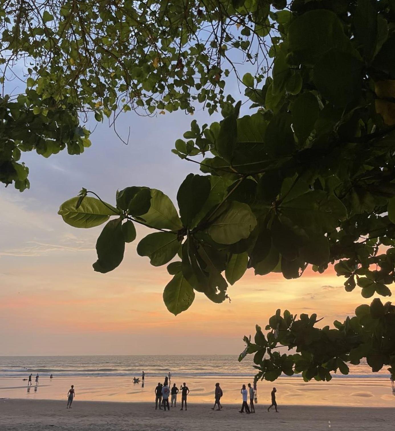 12 Monks - Beachside Hostel Arambol Ngoại thất bức ảnh