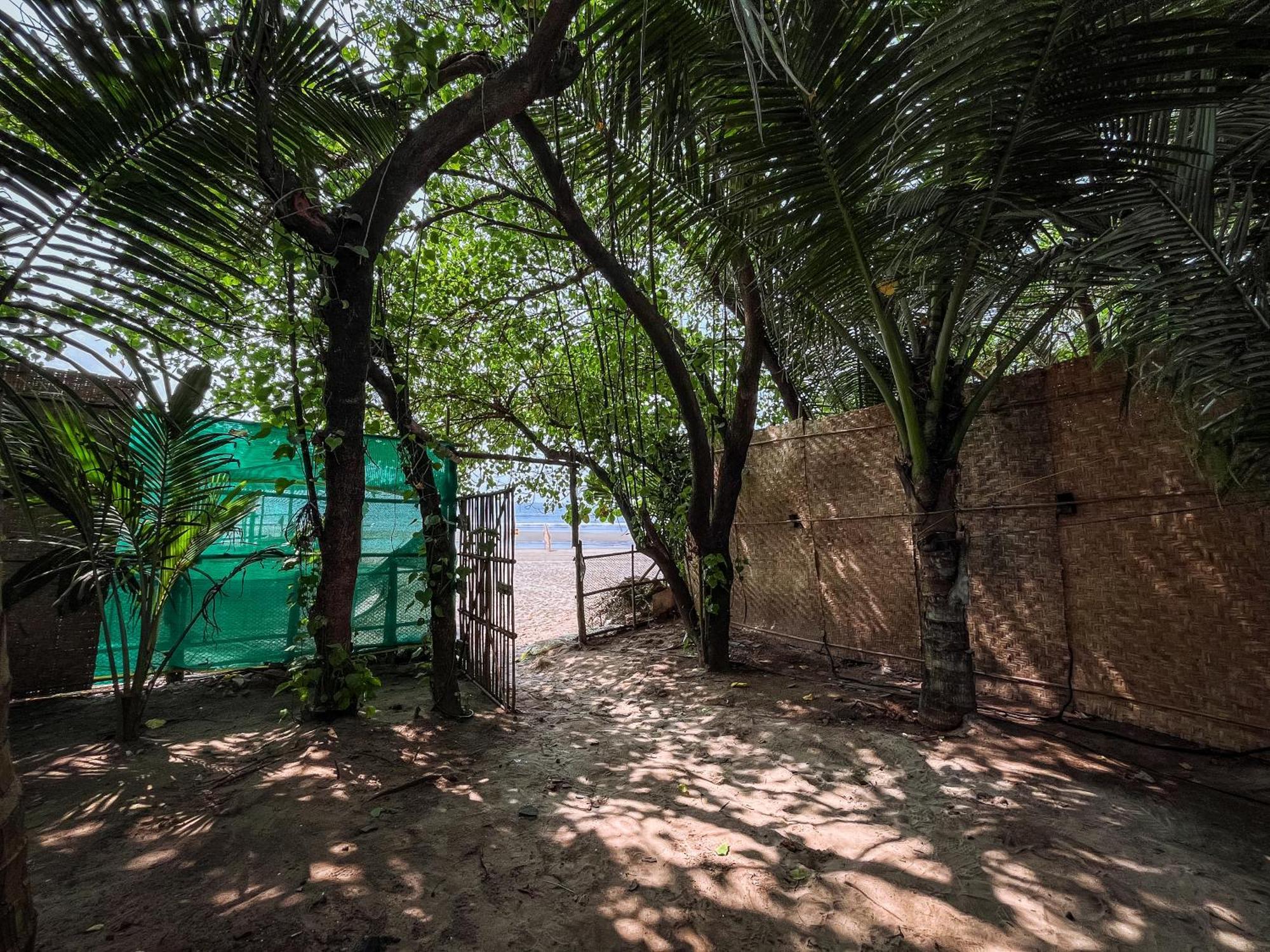 12 Monks - Beachside Hostel Arambol Ngoại thất bức ảnh